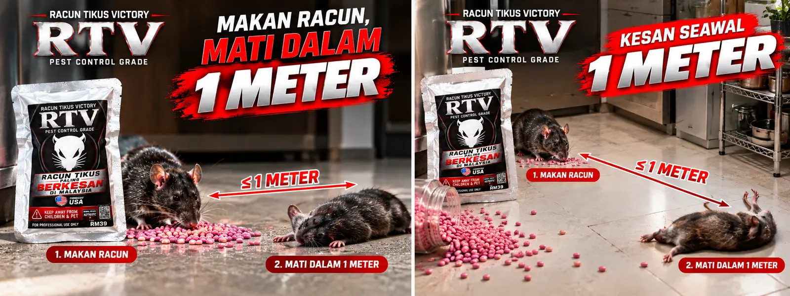 Tikus makan umpan RTV dan mati dalam lingkungan 1 meter