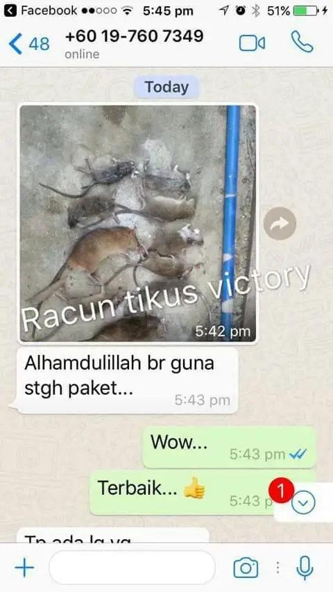 Testimoni pelanggan RTV 10: tikus mati selepas guna RTV