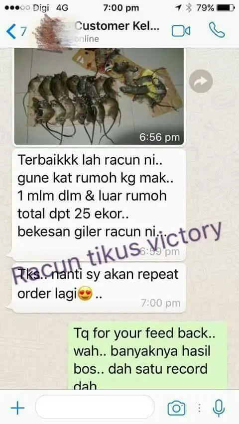 Testimoni pelanggan RTV 3: tikus mati selepas guna RTV