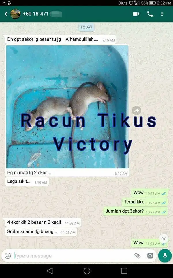 Testimoni pelanggan RTV 9: tikus mati selepas guna RTV
